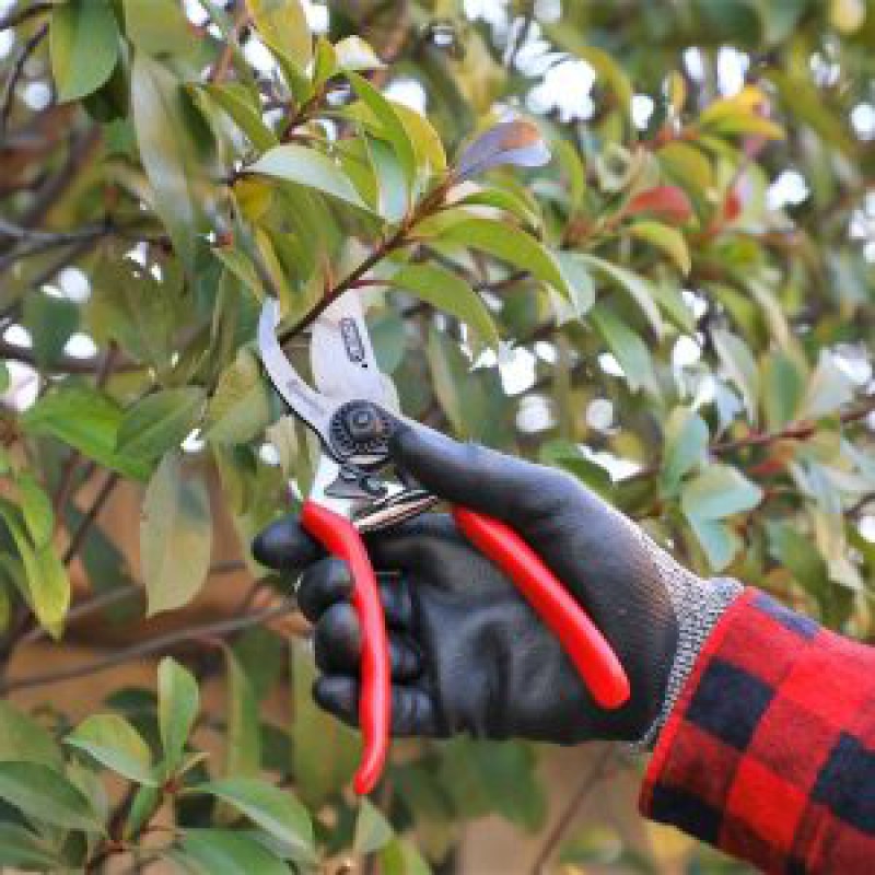 KAMIKAZE TIJERA KM-5 FORGED CON FUNDA - Imagen 2